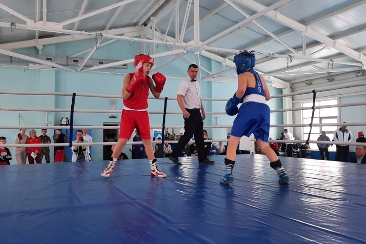 В Чувашии состоялся турнир по боксу памяти офицера СОБР Изосима Башкирова