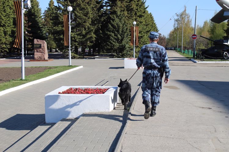 21 июня - день кинологических подразделений Росгвардии