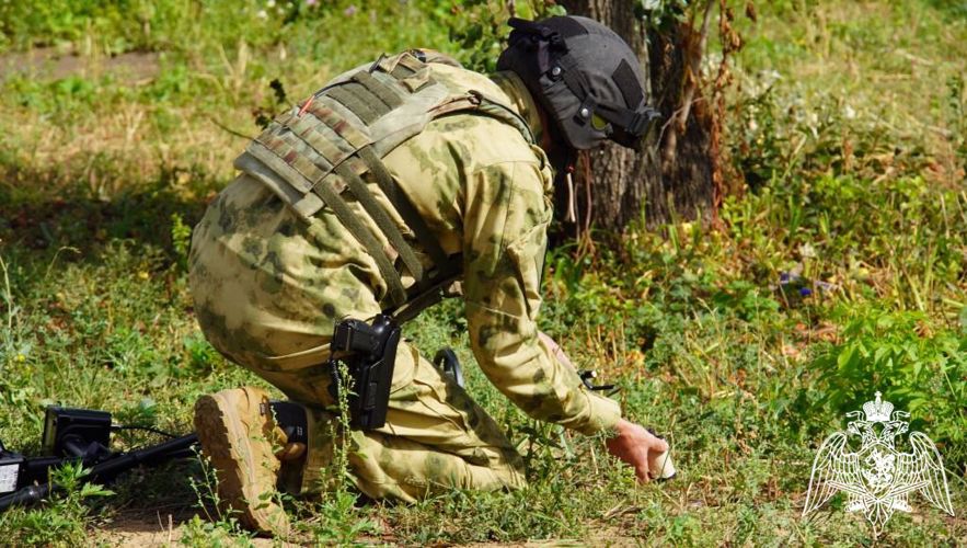 В Чебоксарах сотрудниками спецподразделений Росгвардии задержан мужчина с «гранатой»
