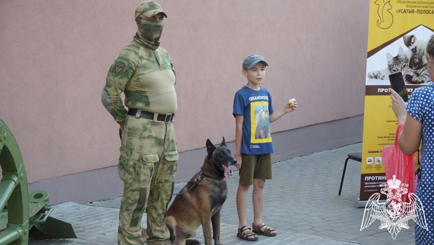 В Чебоксарах кинологи Росгвардии вместе со своими четвероногими подопечными выступили на Дне фронтовой собаки