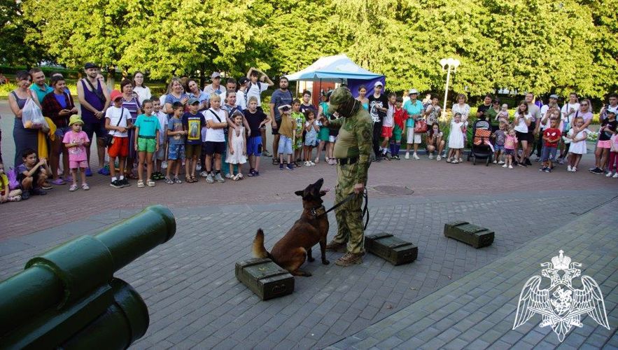 В Чебоксарах кинологи Росгвардии вместе со своими четвероногими подопечными выступили на Дне фронтовой собаки