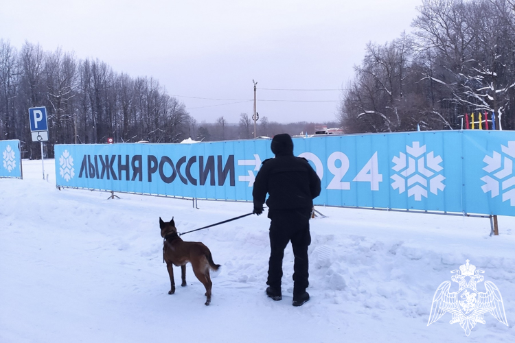 Команда Управления Росгвардии по Чувашской Республике - Чувашии приняли участие во Всероссийской массовой лыжной гонке «Лыжня России - 2024»