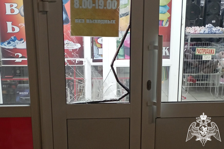 В Алатыре сотрудники Росгвардии задержали мужчину при попытке проникнуть на охраняемый объект