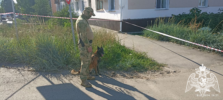 Взрывотехники ОМОН «Сувар» Управления Росгвардии по Чувашской Республике – Чувашии обследовали найденную в городе Алатырь гранату