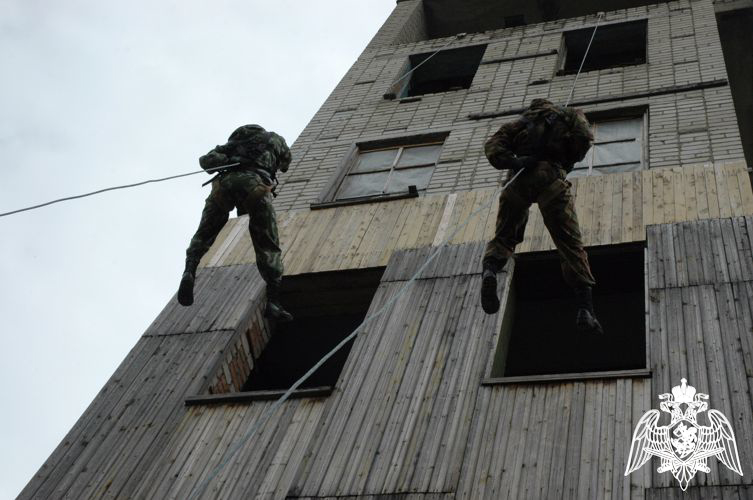 Военнослужащие, сотрудники и ветераны подразделений боевой подготовки Росгвардии отмечают профессиональный праздник