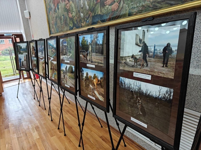 В Чебоксарах в День фронтовой собаки открылась фотовыставка, посвященная работе кинологов Росгвардии