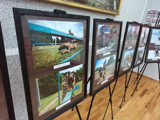 В Чебоксарах в День фронтовой собаки открылась фотовыставка, посвященная работе кинологов Росгвардии