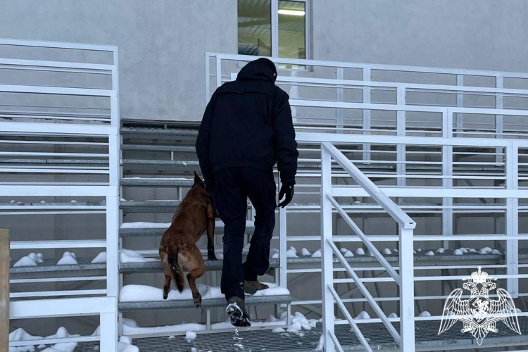 В Чувашии росгвардейцы обеспечили правопорядок во время лыжной гонки «Лыжня России - 2026» 