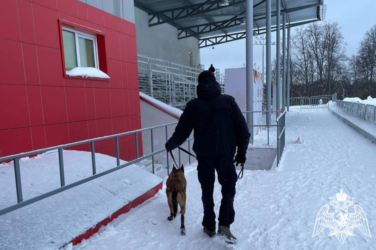 В Чувашии росгвардейцы обеспечили правопорядок во время лыжной гонки «Лыжня России - 2026» 