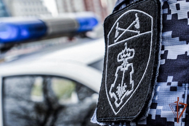 Сотрудниками Росгвардии задержан мужчина, подозреваемый в совершении кражи из магазина