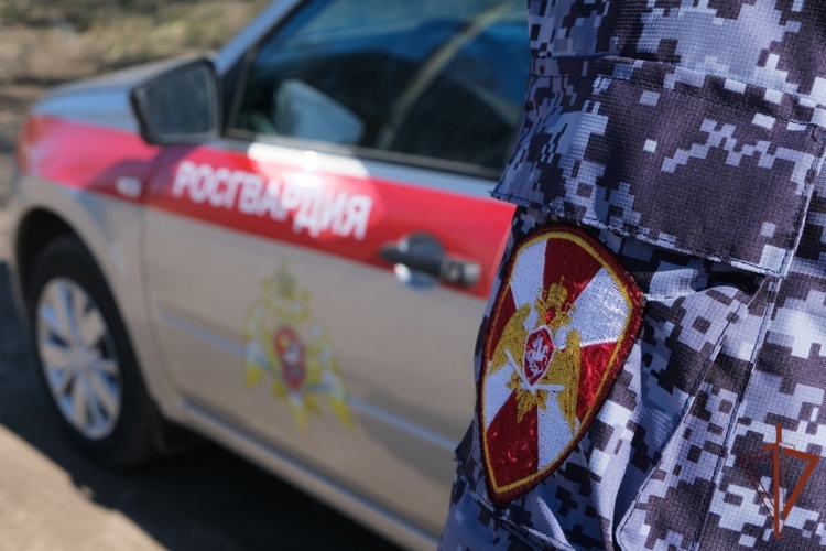 В Чувашии на минувшей неделе росгвардейцы более 200 раз выезжали по сигналу «Тревога»
