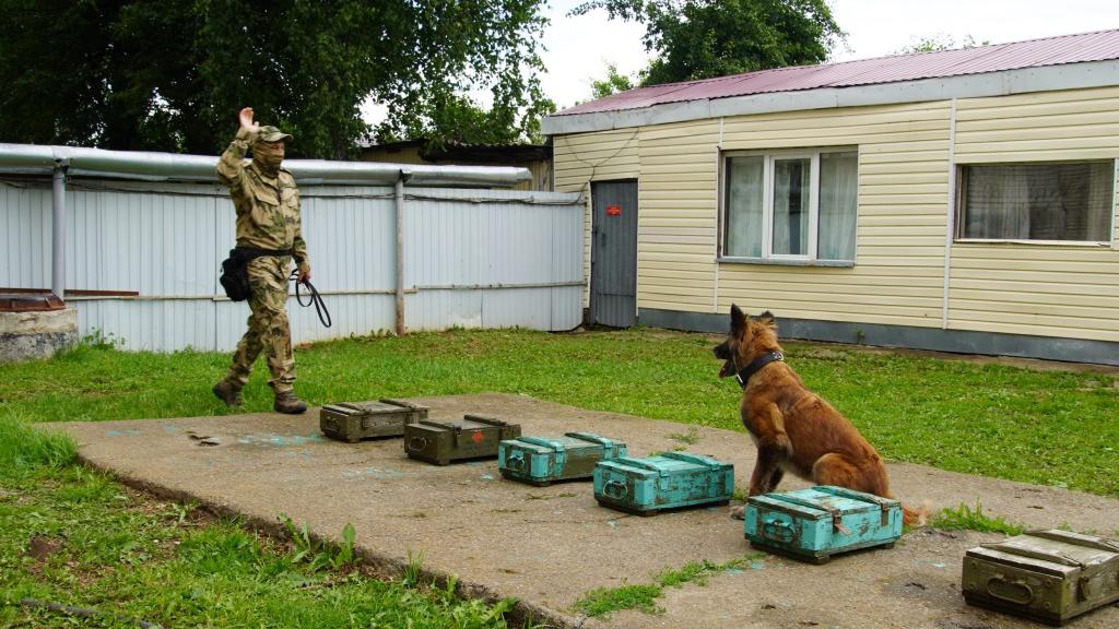 Кинолог ОМОН «Сувар» Управления Росгвардии по Чувашской Республике рассказал о своей профессии