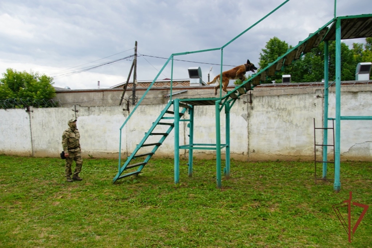 Кинолог ОМОН «Сувар» Управления Росгвардии по Чувашской Республике рассказал о своей профессии