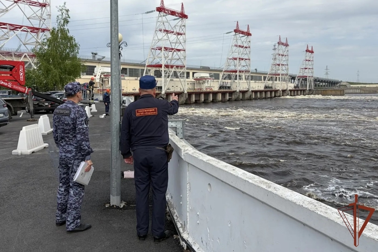Контроль и безопасность: отделение госконтроля Управления Росгвардии по Чувашской Республике отчиталось о работе в I полугодии 2026 года