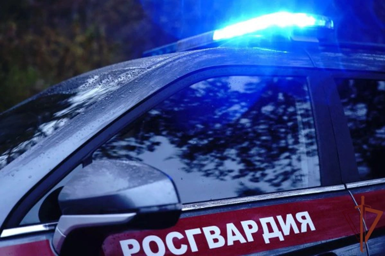 В Чебоксарах росгвардейцами задержан мужчина, находившийся в розыске
