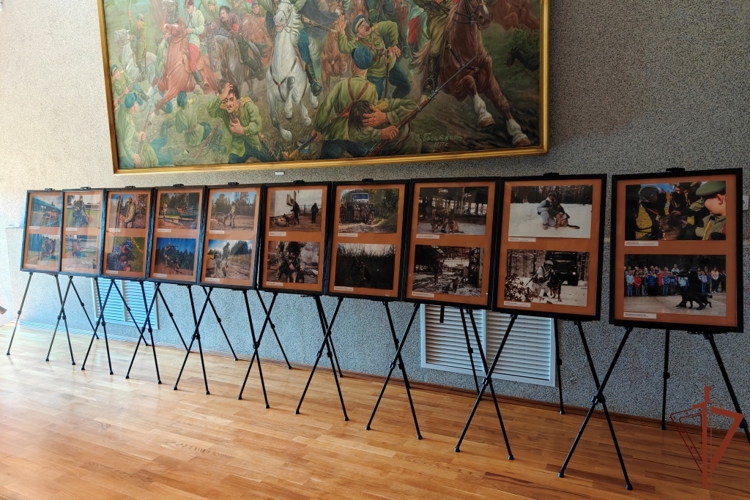 В чебоксарском музее В.И. Чапаева продолжает работу фотовыставка, посвященная работе кинологов Росгвардии