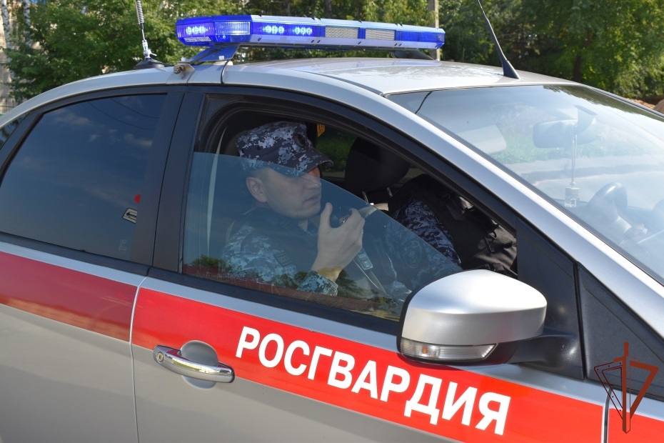 В Канаше сотрудники Росгвардии задержали подозреваемую в краже из магазина